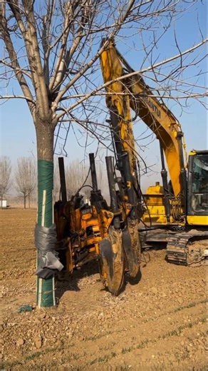 Tree Transplant Machine🤯