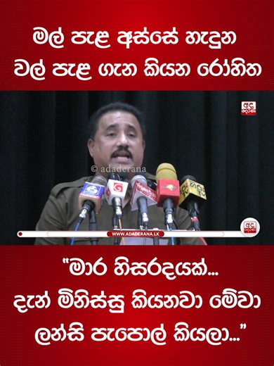 මල් පැළ අස්සේ හැදුන වල් පැළ ගැන කියන රෝහිත - “මාර හිසරදයක්...දැන් මිනිස්සු කියනවා මේවා ලන්සි පැපොල් කියලා...” #adaderana #latestnews #news