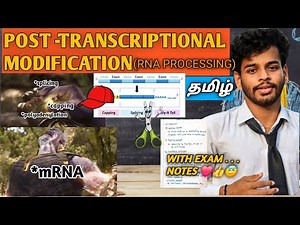 Post transcriptional modification/tamil/notes/splicing/5' capping/ 3' polyadenylation/transcription
