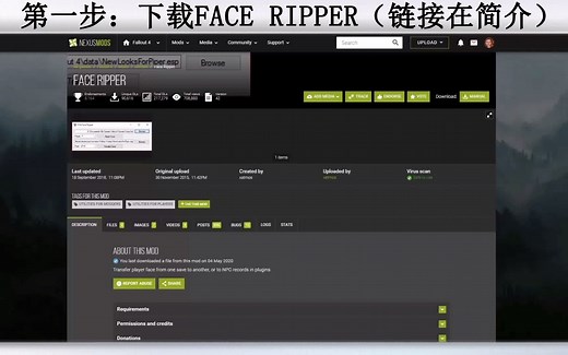 辐射4小教程 如何用face ripper和FO4edit制作NPC的外貌替换MOD【简陋的中文引导】