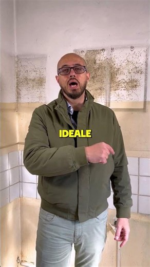 Muffa dietro i tuoi mobili? Eliminala alla radice! 🦠