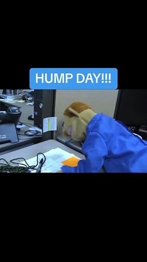 #tyronesml #smltyrone #tyrone #humpday #humpday🐪 #brooklyntguysml #brooklyntguy #smlbrooklyntguy #funny #jeffysml #smljeffy #jeffy #smlbestmoments #smlfunnymoments #childhoodnostalgia #nostalgia #childhood #geico #funnysmlclip #funnysml #funnysmlmoments #smlfunny #funniest #smledits #smlclips #smlclipz #smleditz #smledit #smlclip #puppet #puppets #plushies #plushie #plushes #plush #supermarioplush #supermarioplushie #supermarioplushies #mariobros #mariobrothers #mario #smlmario #mariosml #super