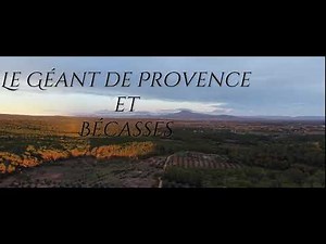 Chasse à la Bécasse , une saison en 20 minutes .