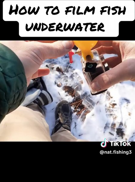 Cómo filmar peces bajo el agua: Equipos recomendados