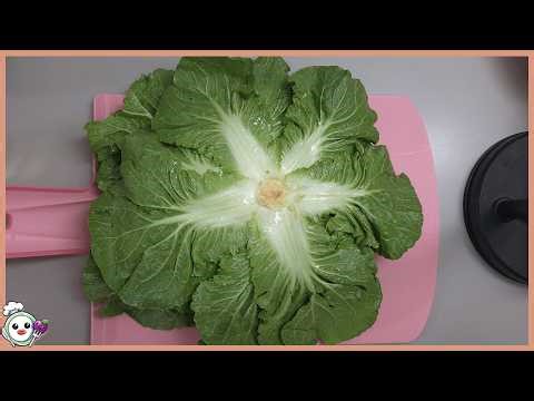 Spring Bibimbap: The Algorithm-Dominating [Cooking]