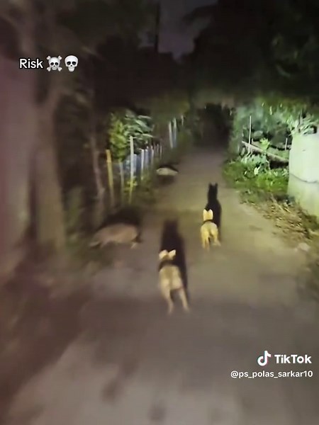 Understanding Personal Risk Expression