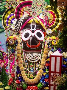 Jauthibu prana pakhi #jagannath short bhajan odia #like and subscribe