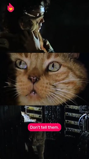 The cat's out of the bag with the cast of #AlienRomulus 🐈 👽 #SDCC #SDCC2024 #Alien | Fandom