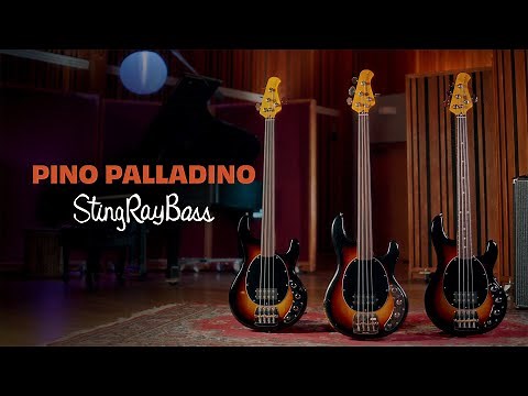 The Pino Palladino StingRay Bass Collection