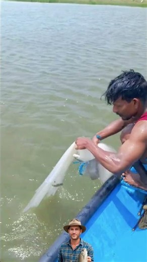 Casting the net, tossing and catching it, watch how the waves transform into a waltz of harvest.