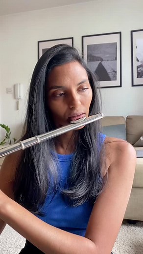 Eminem's Stan: Flute Cover Performance