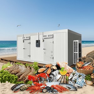 [Hot Item] Carne congelada, mariscos, carne de res, pollo, sala fría impactante, unidad de refrigeración, unidad de condensación, congelador de acceso, sala fría