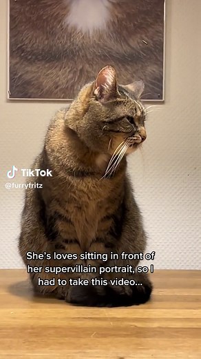Furry Fritz: The Catographer Captures Ferik Jurgen, the Supervillain Cat