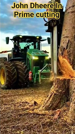 WAIT 😳This 4x4 John Deere Just Sliced a Giant Tree at Sunset!#shorts#tractor#chainsaw#tree#truck