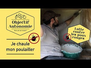 Comment lutter contre les poux rouges? #chauxpourdesinfecter