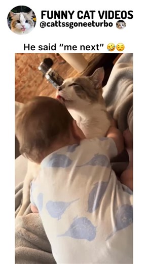 catty 🐾 on Instagram: "The way the cat stopped to make sure it was laughing and not crying and then kissed again 😫😫😫😫. (Cr:marleah_vay/tt)"