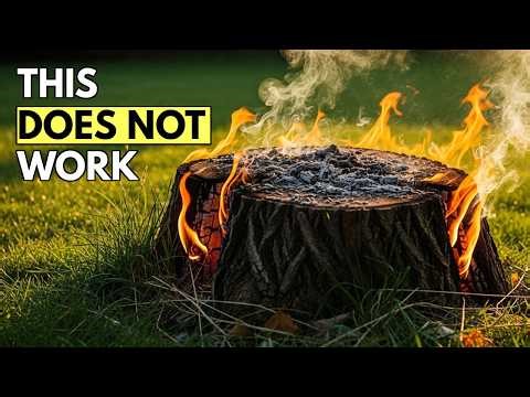 BEST WAYS TO REMOVE A TREE STUMP!