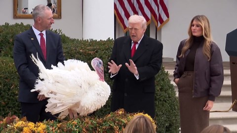 Trump pardons Gobble and Waddle at White House Thanksgiving event