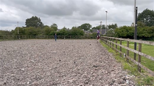 8.3K views · 177 reactions | We had a lesson today to practice our flatwork and go over our dressage test for Friday… 﫣 Wasn't our best and wasn't our worst, this was right at the end so I was a bit tired. 辰 Lots to work on and hopefully improve.  #Dressage #Stressage #Riding #Equestrian #Horse  | The Antics of Mr Mo | Facebook