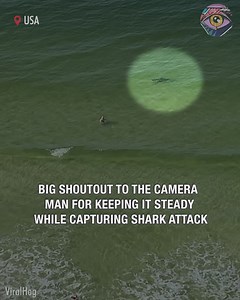 8.8M views · 14K reactions | Could shark and people be friends?勞 | HomeChic | Facebook