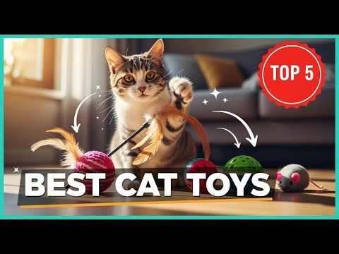 TOP 5 Best Cat Toys 2025 | Keep Your Feline Friend Entertained for Hours!