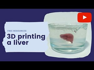 3D printing a liver