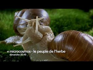 🐌 6ter - Microcosmos (bande-annonce)