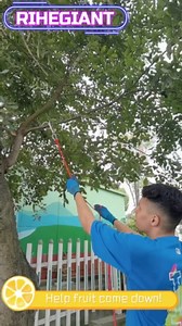 Multifunctional Stainless Steel Grappling Hook