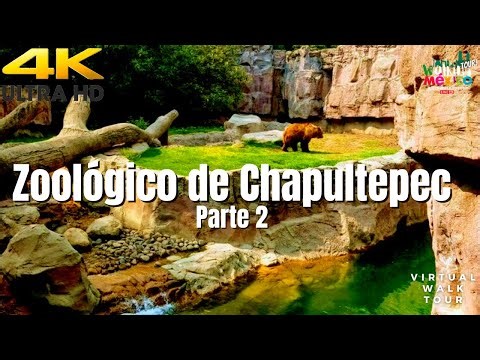 Zoológico de Chapultepec Parte 2 | 4K Walking Tour #recorridovirtual #zoológico