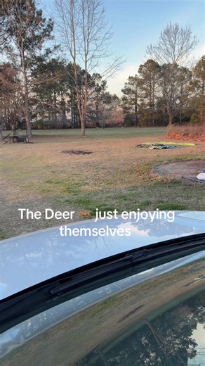 Good evening 🌆 i love it