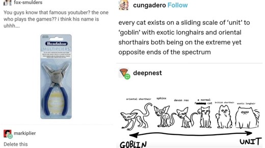 Revisit The Golden Age Of Tumblr With These 24 Classic Posts