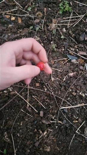 beautiful 1920s marble #marble #discover #adventure #new