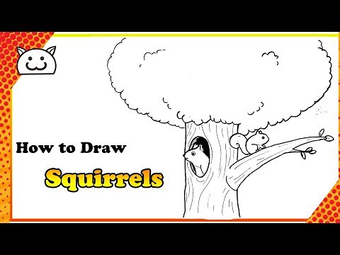 How to Draw Squirrels on a Tree