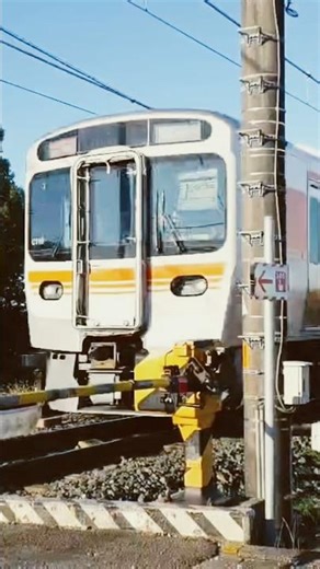 速い！315系 新快速豊橋ゆき #東海道本線 #shorts #315 系#新快速