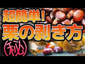 #13 Super easy! Mirai Farm's method for peeling chestnuts