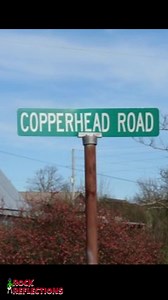 8K views · 338 reactions | Steve Earle – Copperhead Road ...