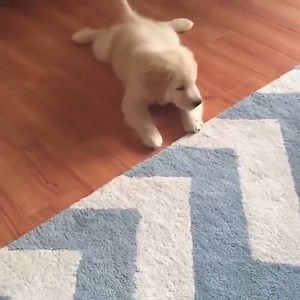 1.9K views · 191 reactions | Oh no! | SquadGoals | Facebook