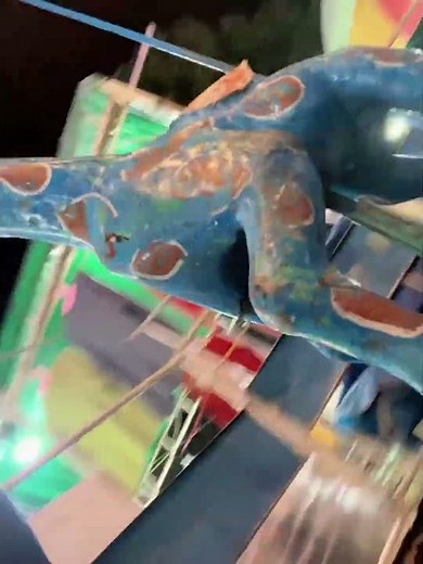 Woman Takes Merry-Go-Round Spill