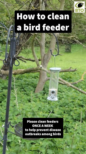 4.7K views · 31 reactions | This is your weekly reminder to clean...