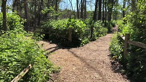 Your next adventure awaits! 🌳🌿 | Wehr Nature Center