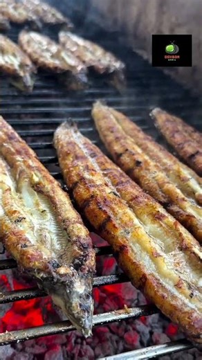 Proses pemotongan belut #fyp #berandayoutube #sorotan