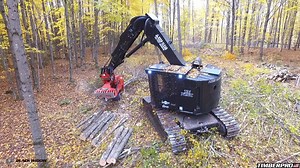 Watch this video and get a close encounter with one of our TN725C cutting in northern Wisconsin. | TimberPro Inc