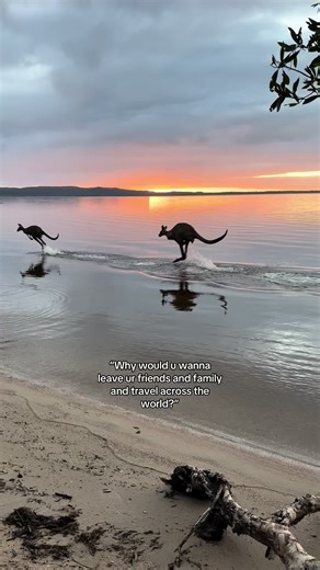 Exploring the Beauty of Australia: Kangaroos and Stunning Views