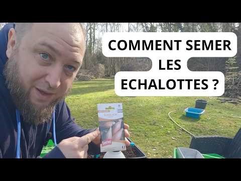 Comment faire un semis d'échalotte ? ( échalion )