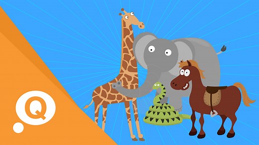 Animals and Pets - KS2 Spanish - BBC Bitesize