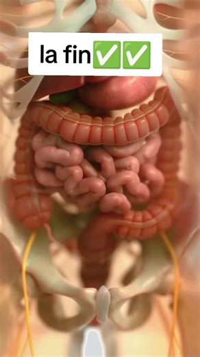 # l'eau est très importante mais quelle heure boir est encore mieux...... #senegalaise_tik_tok🇸🇳pourtoichallenge #senegalaise_tik_tok #vidéo #viral #coach en développement personnel @@@@--