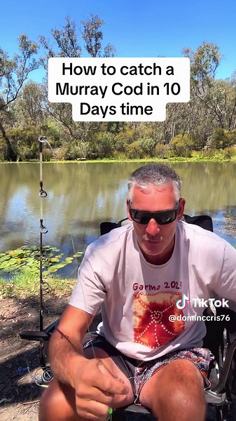 HOW TO CATCH MURRAY COD. Only 10 days until cod season opening. #murraycod #fishing #goingfishing #tackletalk #fishingrigs