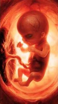 baby 😱 Normal delivery 😭 YouTube videos,#normal #baby #shorts #ytshorts #shortvideos #shortsfeed