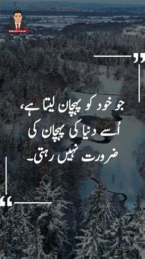 3 Powerful Wise Sayings for Inner Peace & Clarity | Arshad Malik #InnerPeace #WisdomQuotes #CalmMind