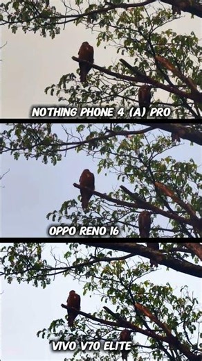 ViVO V70 Elite vs Oppo Reno 16 vs Nothing Phone 4(a) Pro Photography Test Camera Testing zoom Video